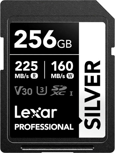 Lexar professional silver - professional,